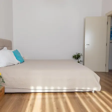 New Apartament アパート *