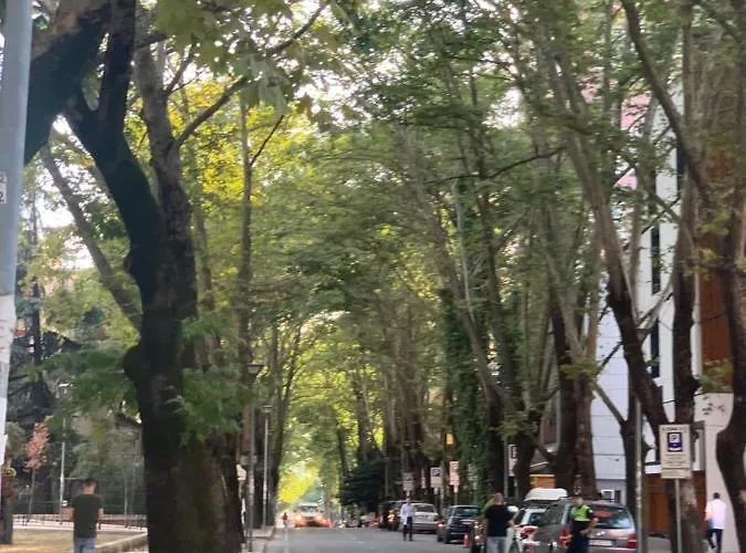 Apartment New Apartament *